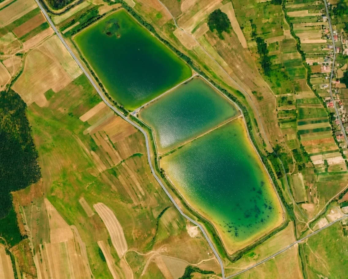 Ferma Piscicolă Iana - fotografie 6