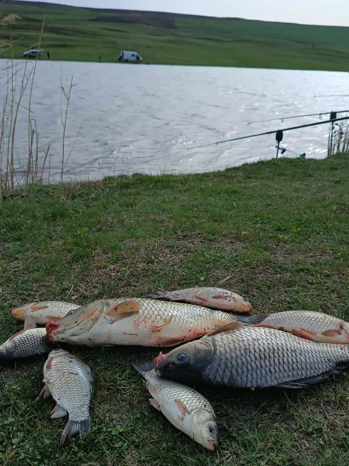 Iaz La Stâni