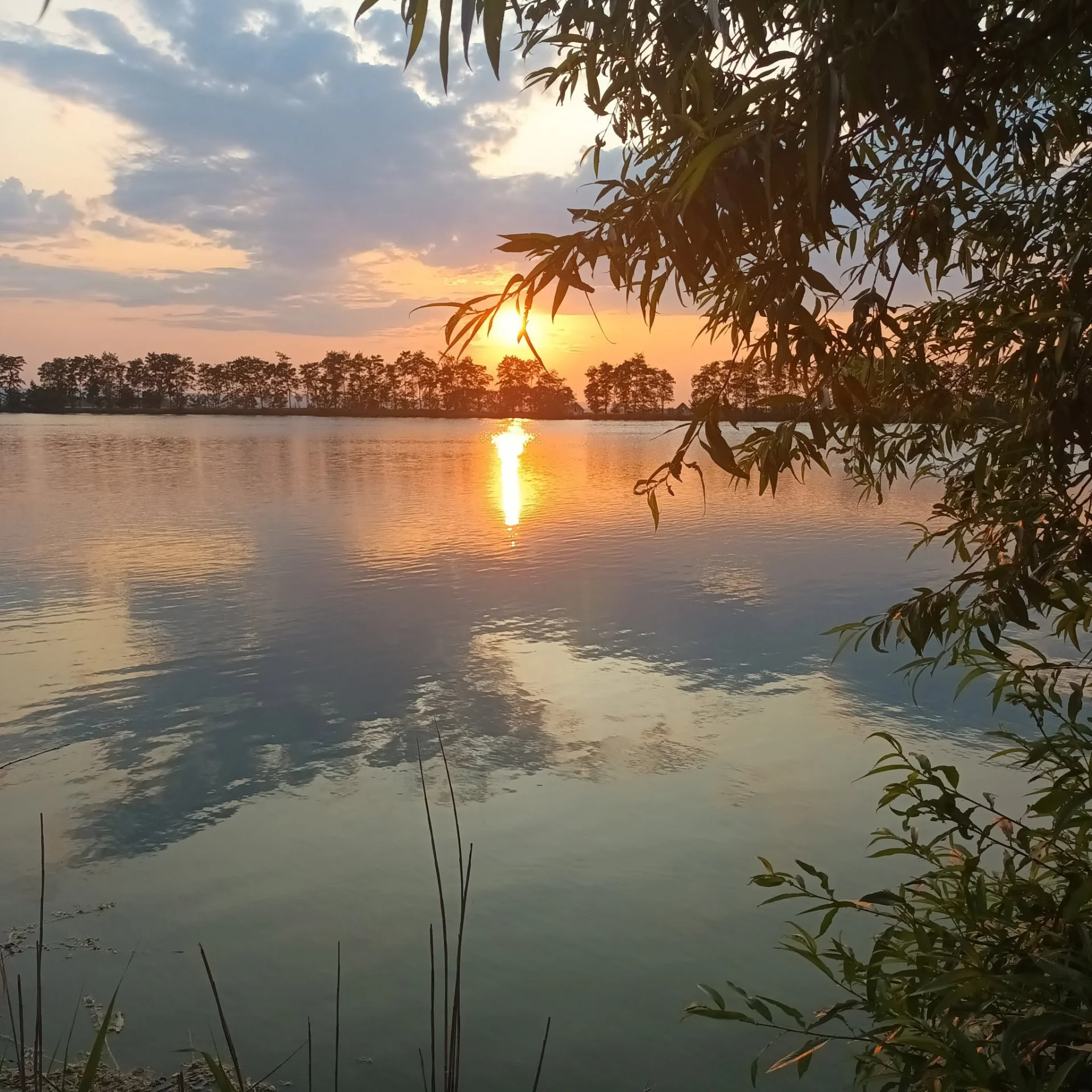 Iaz Brehuiești - fotografie 2