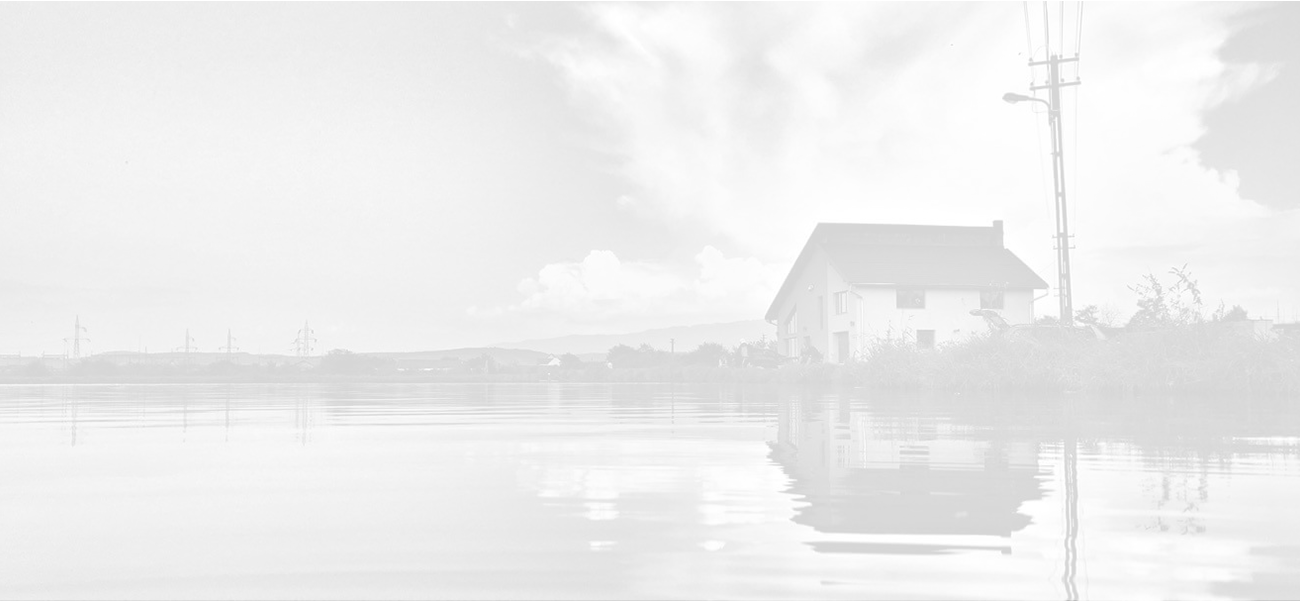 Balta BEN - fotografie 4