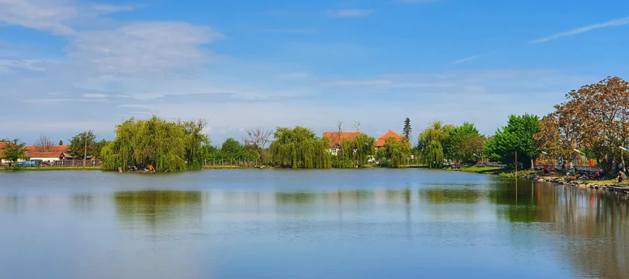 Balta BUCIUMAN