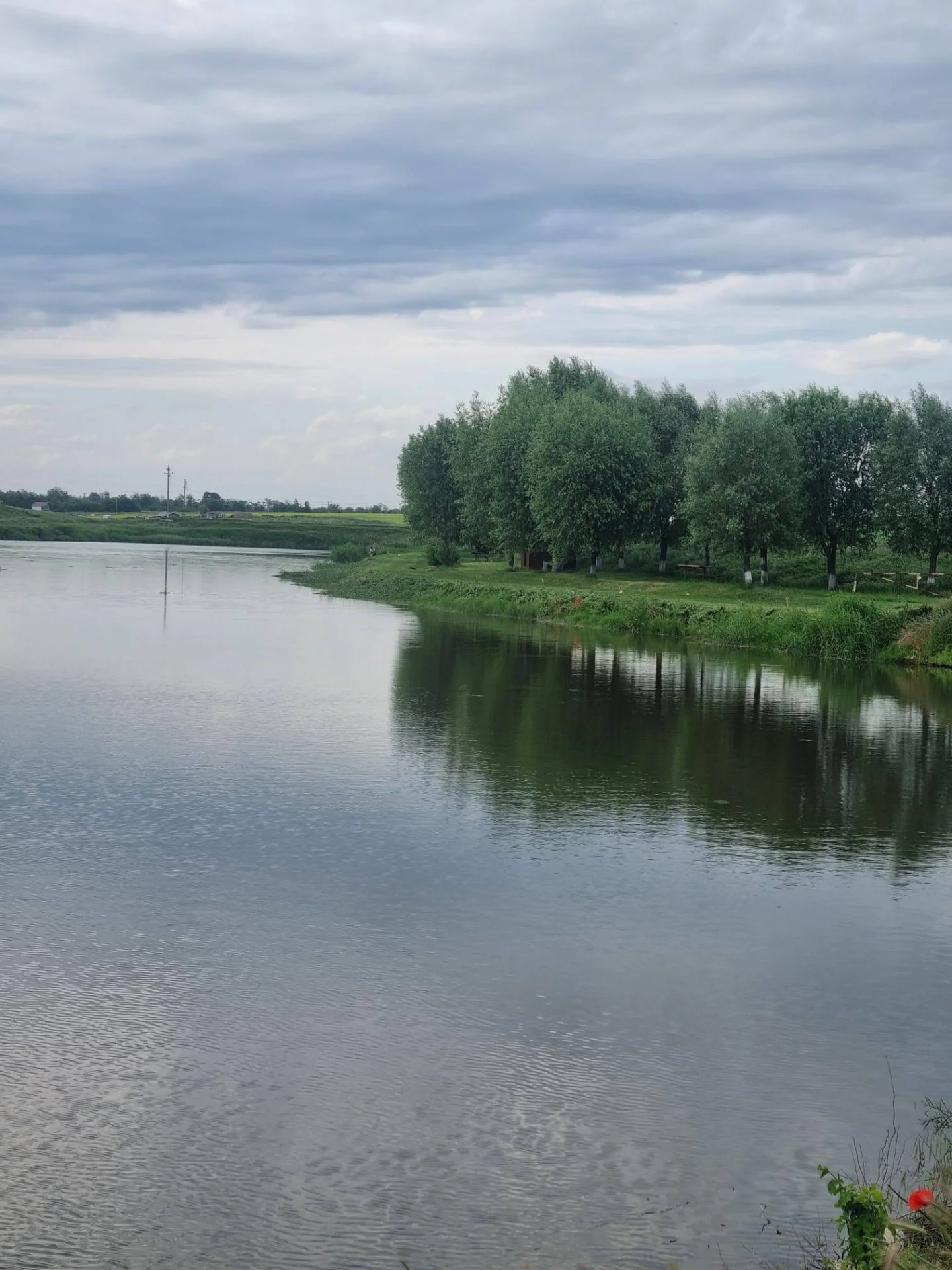 Balta Călăreți Pepinieră