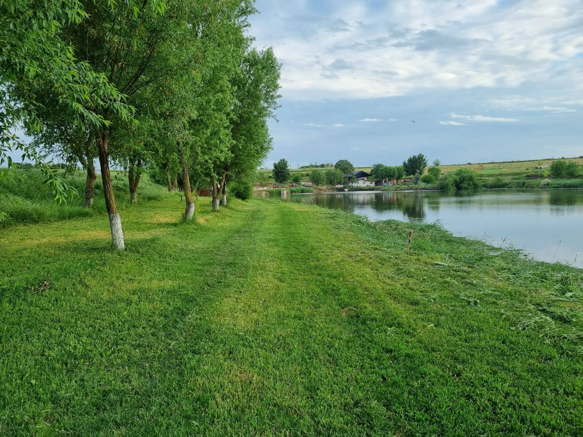 Balta Călăreți Pepinieră - fotografie 2