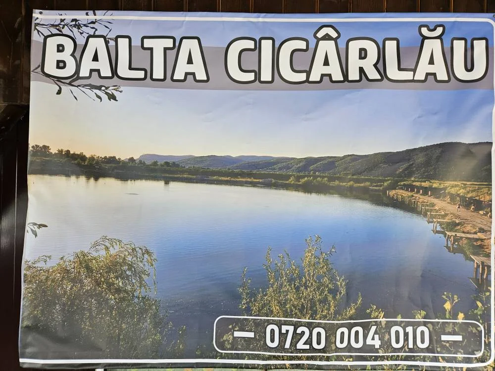 Balta CICARLAU - fotografie 4