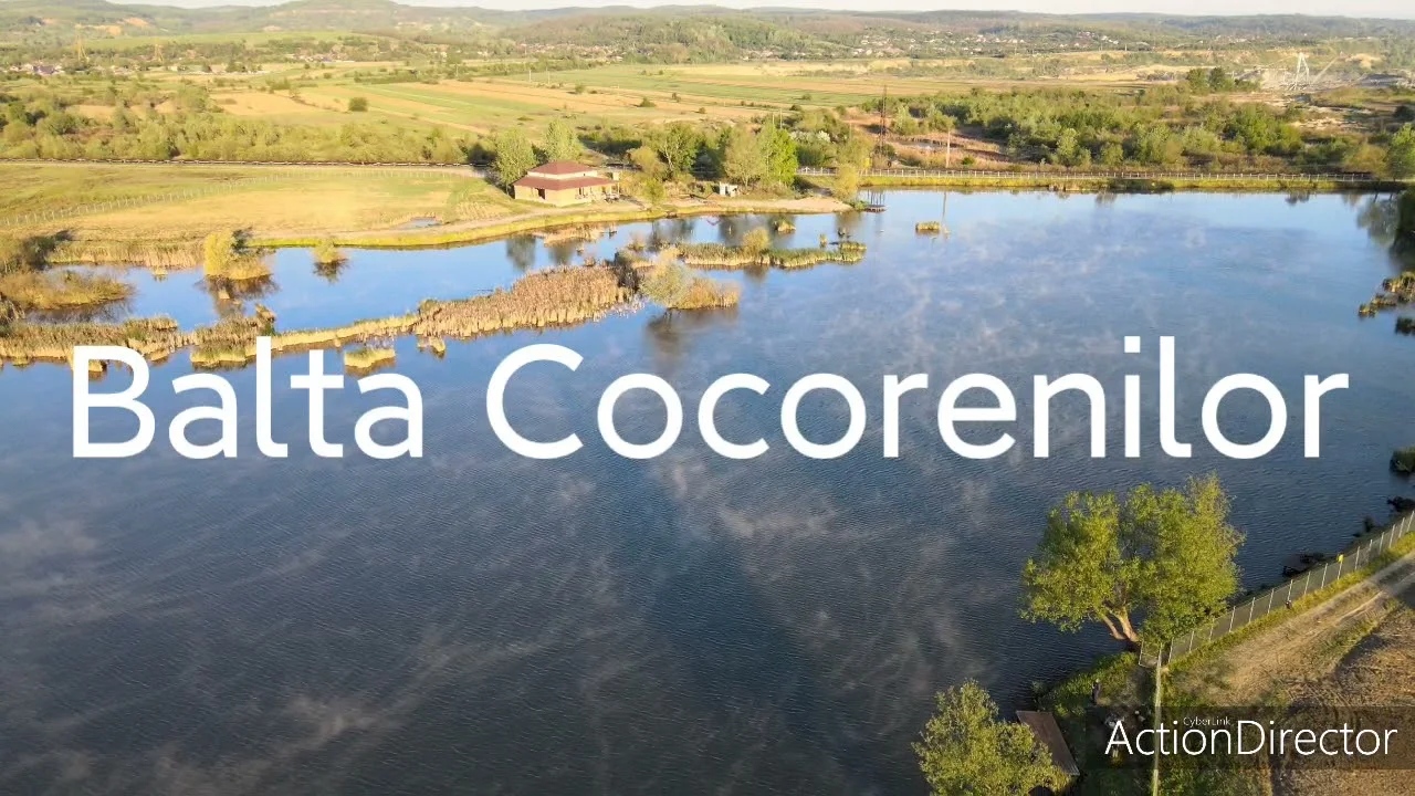 Balta COCORENILOR - fotografie 3