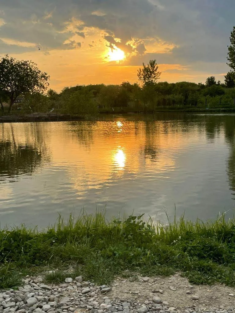 Balta DELTA NEAJLOVULUI