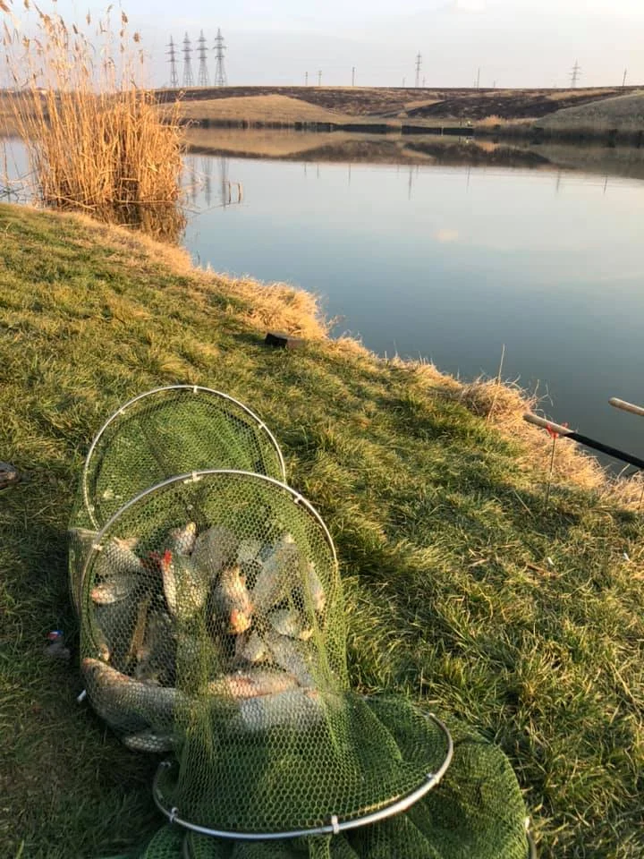 Balta HAGIESTI 1 - fotografie 4