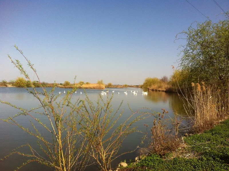 Balta MeritaBio