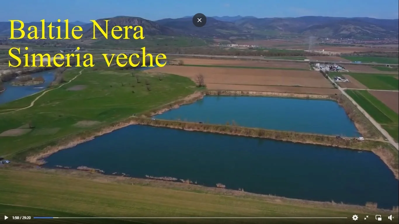 Balta NERA