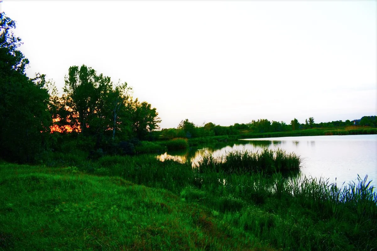 Balta Padureni Sud - fotografie 2