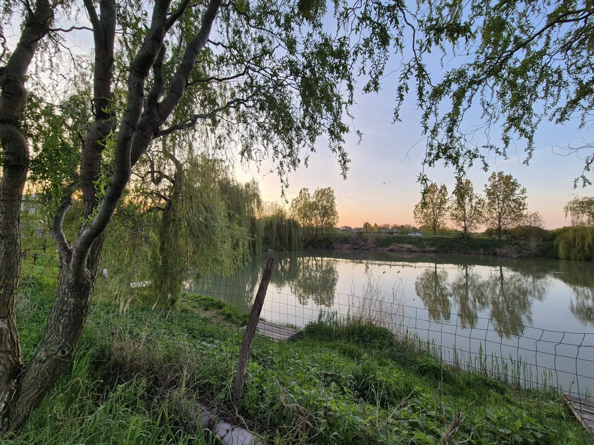 Balta pescuit Biharia - fotografie 2