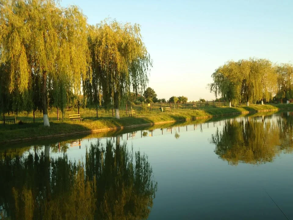 Balta PESTISORUL DE AUR