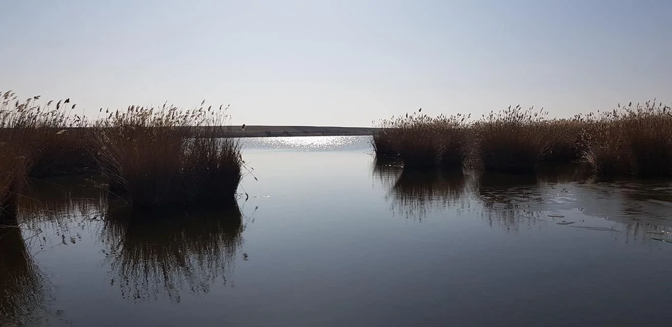 Balta PUIESTI LA GENES - fotografie 3