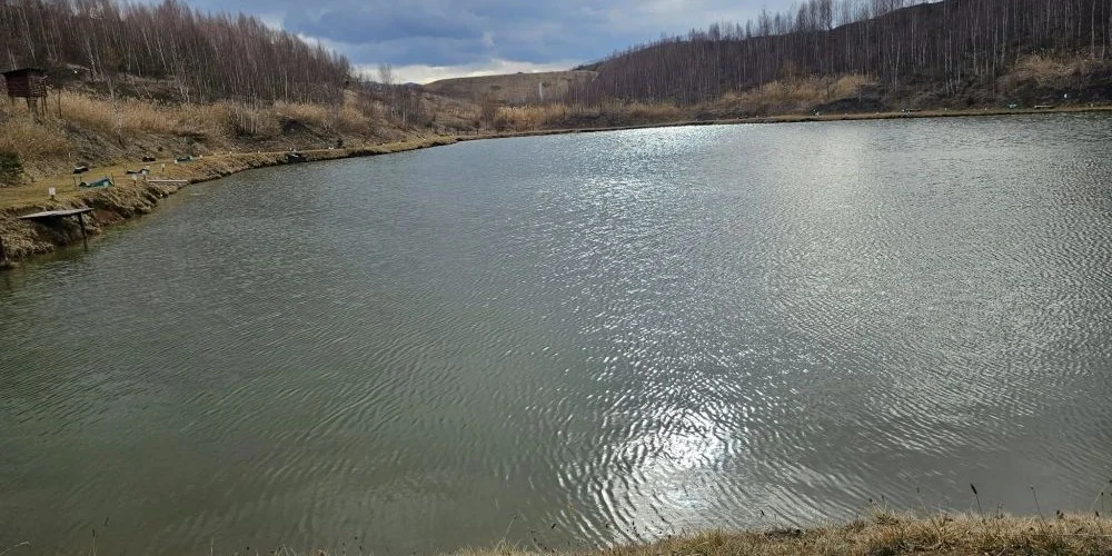 Balta SERBANESTI
