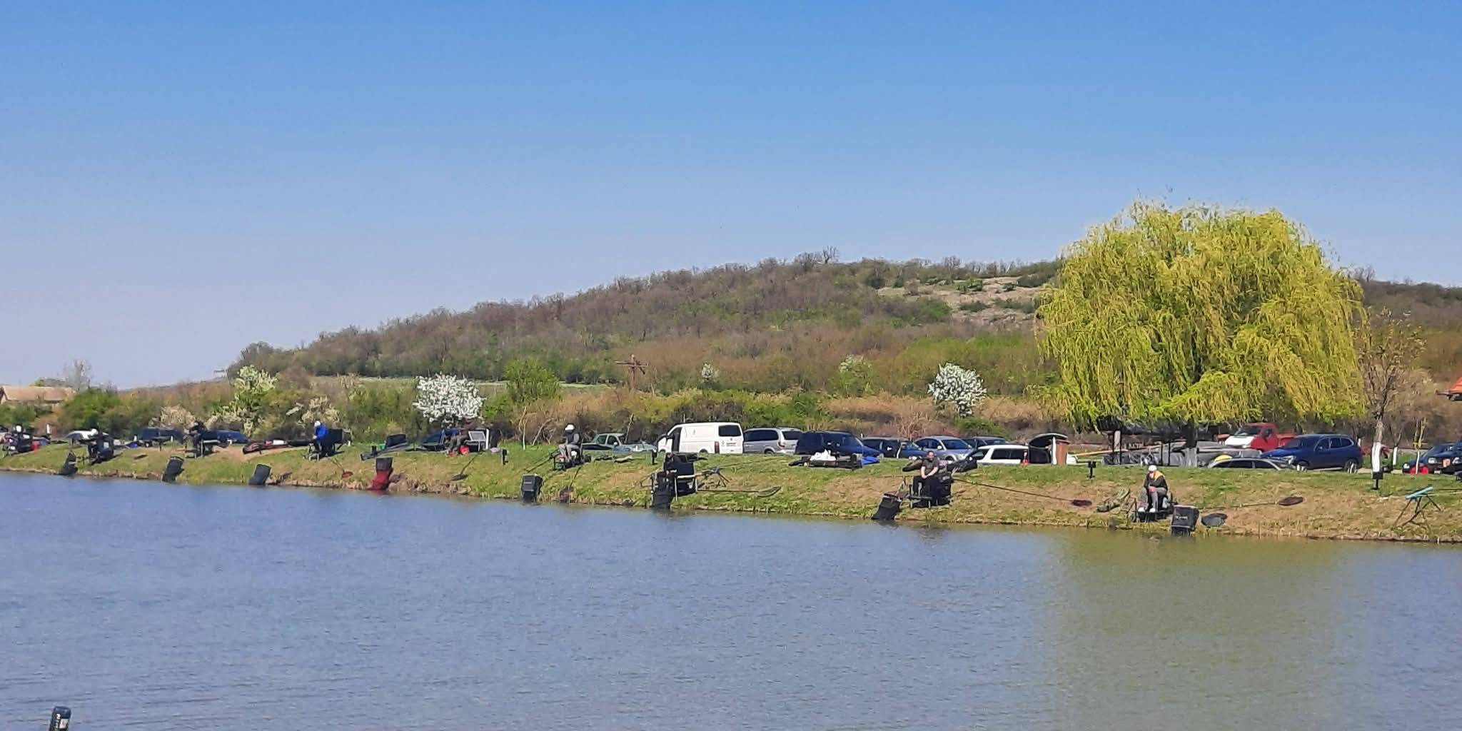 Balta TIHANY