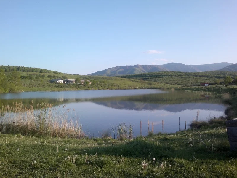Balta TOCILE 5