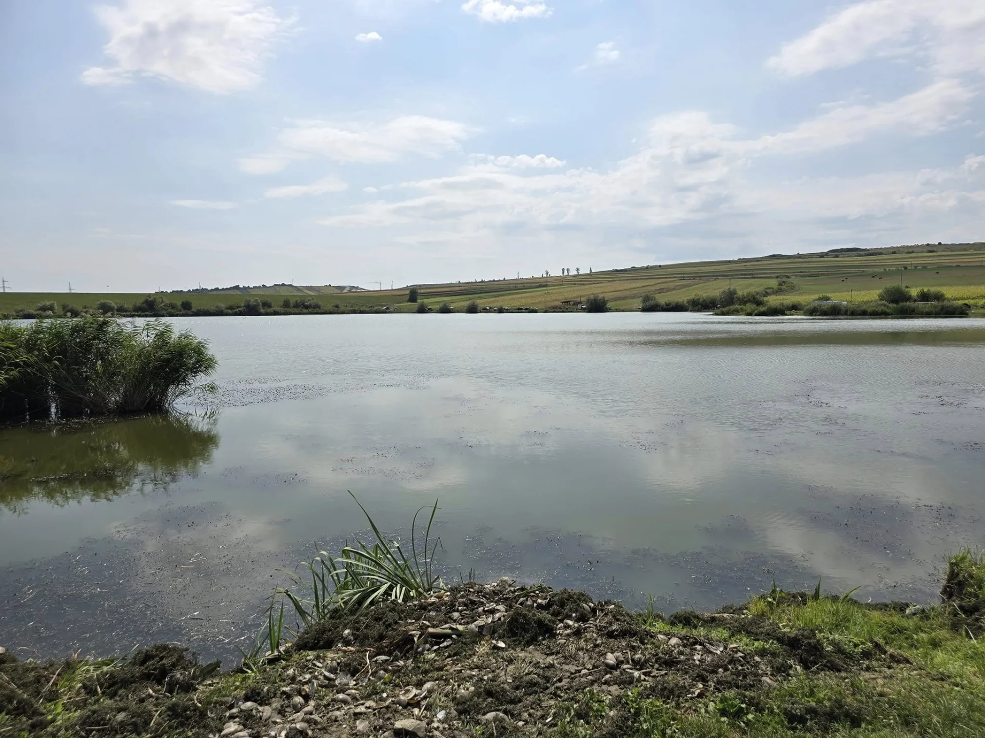 Lac Baraj Tureni - fotografie 3