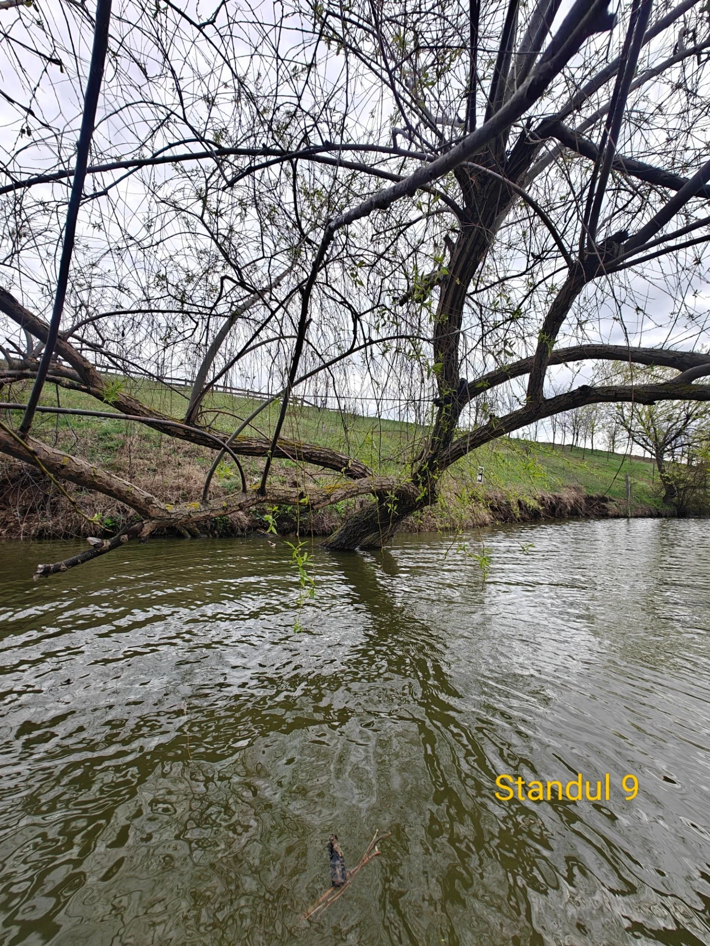 Candeasca Lakes - fotografie 7