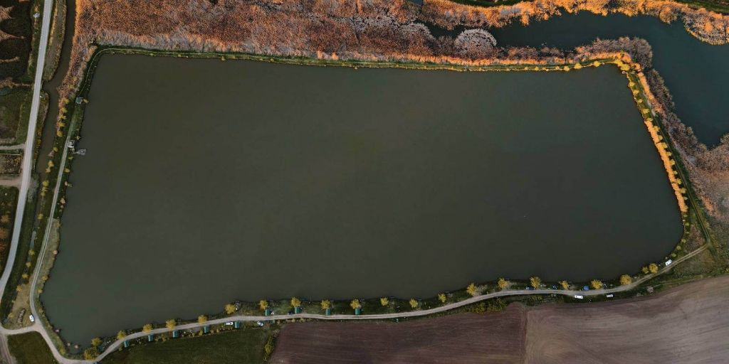 Carpodrom TRANSILVANIA - fotografie 2