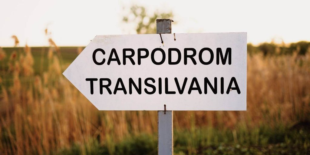 Carpodrom TRANSILVANIA - fotografie 3
