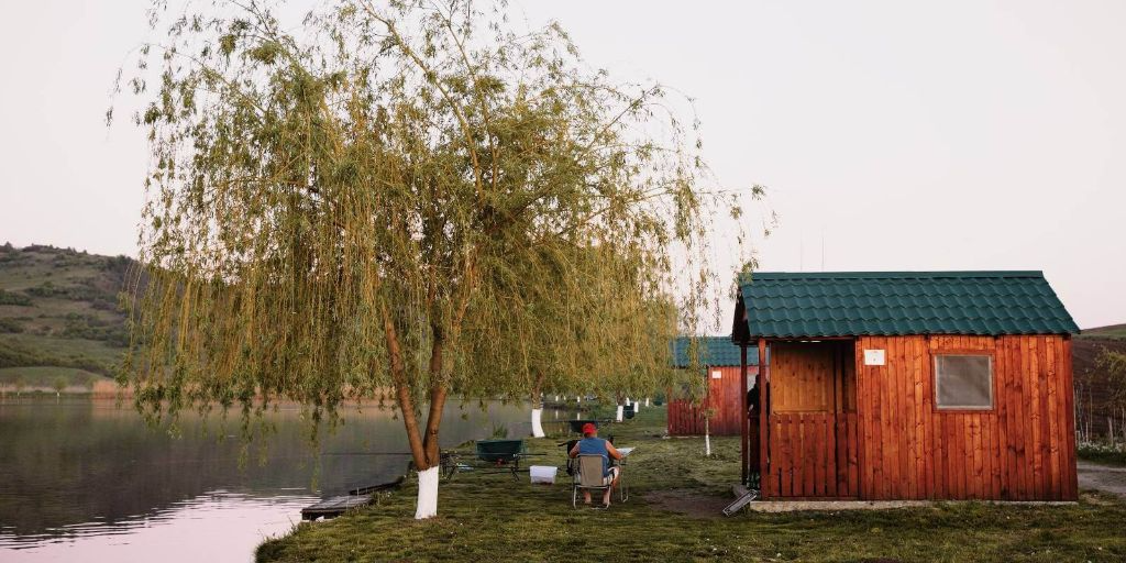 Carpodrom TRANSILVANIA - fotografie 8
