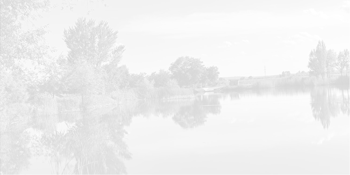 Damira Resort - fotografie 4