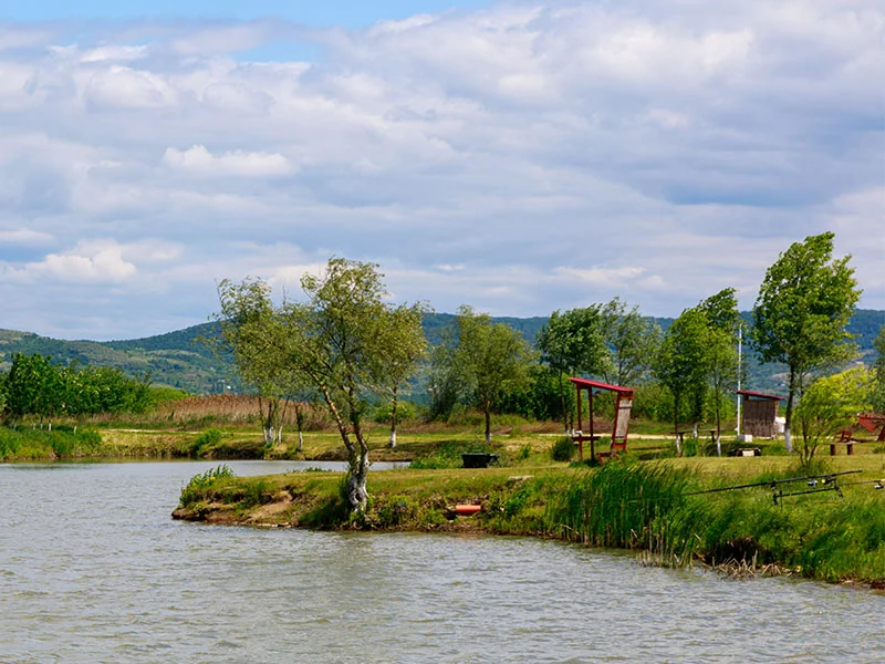 DOMINIC's LAKE