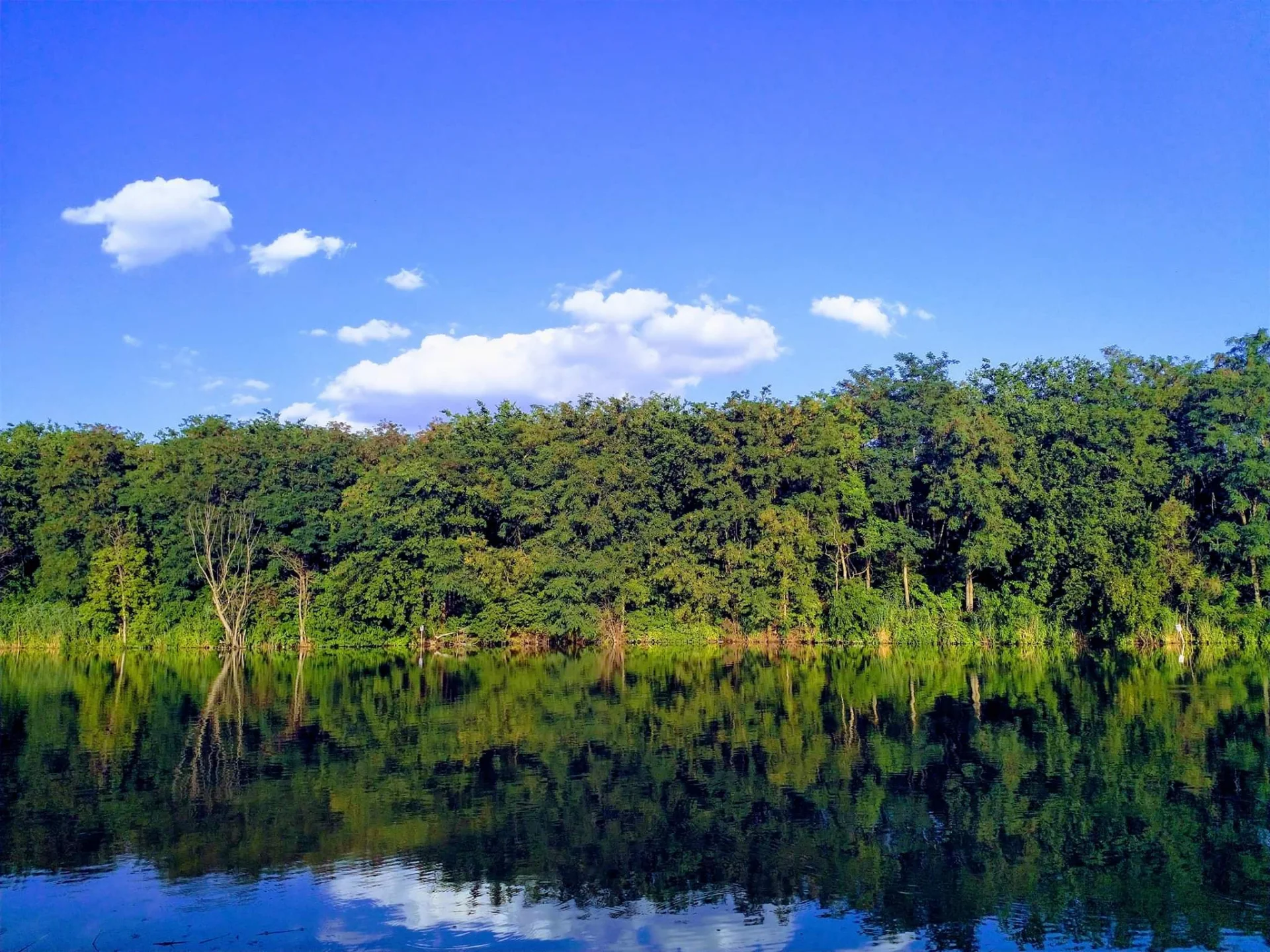 DYNO Lake - fotografie 3