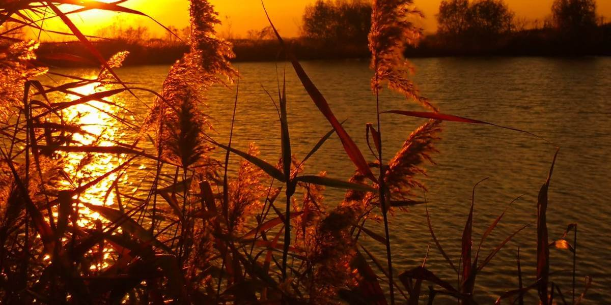 Lac MOBY DICK - fotografie 3