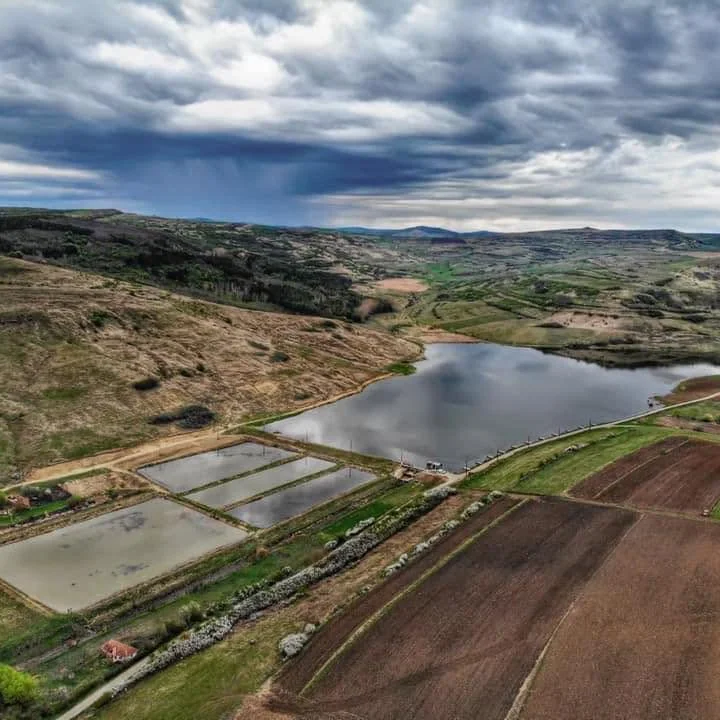 Lac Năsal