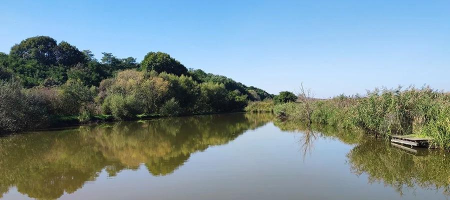 Lac Sutu