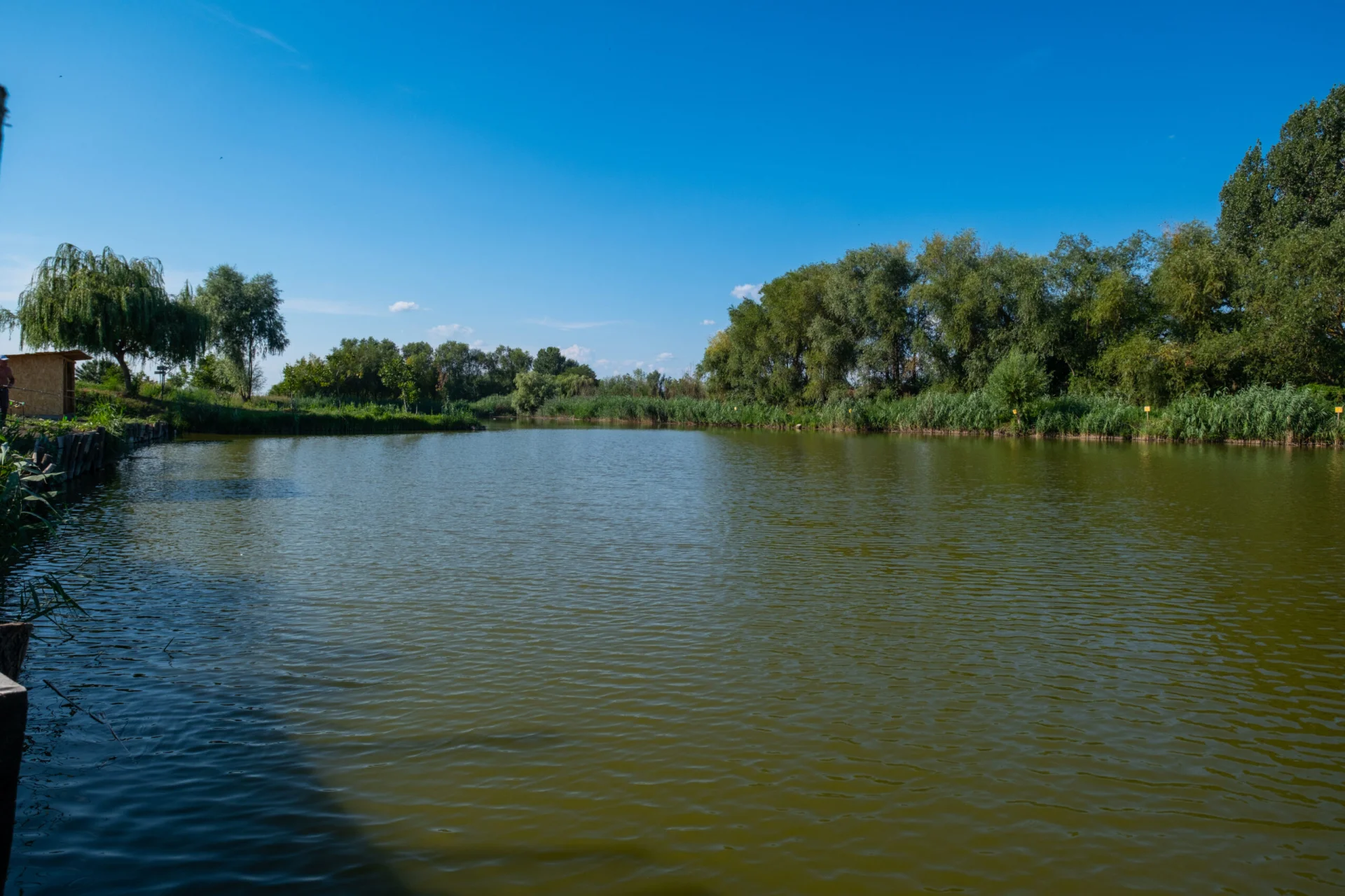 Lacul Beresti-Sascut - fotografie 3