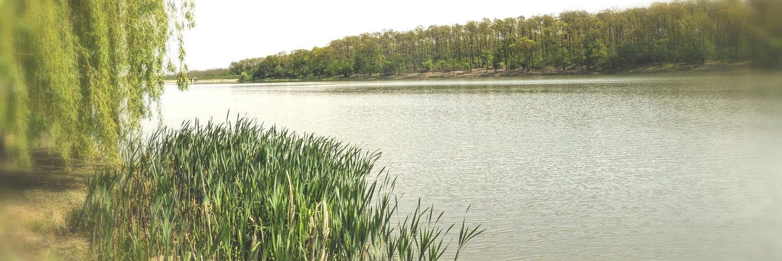 Lacul CETARIU