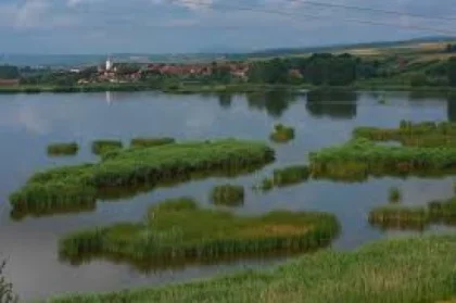 Lacul CROCODYL DANDE