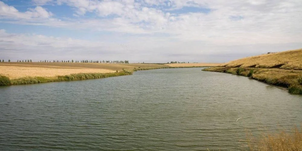 Lacul POLCESTI