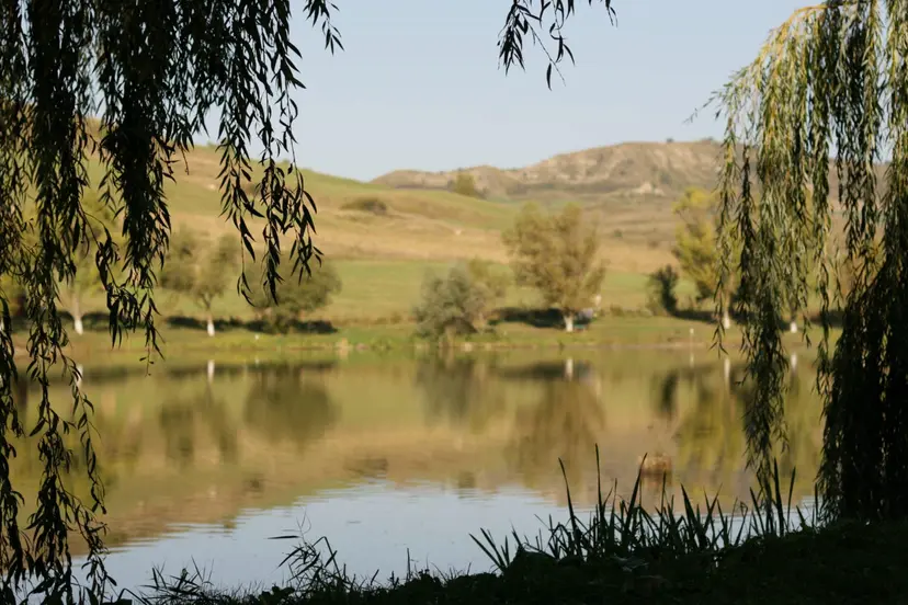Lacul RUGANESTI - fotografie 2