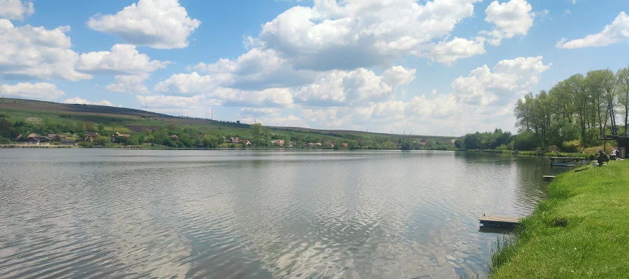 Mărtinești Iaz