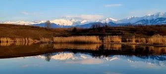 NICULA Carp Lake