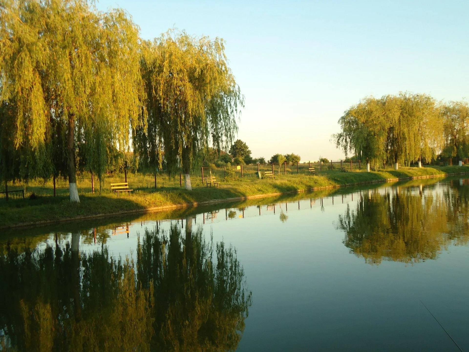 Pescăria Peștișorul de Aur