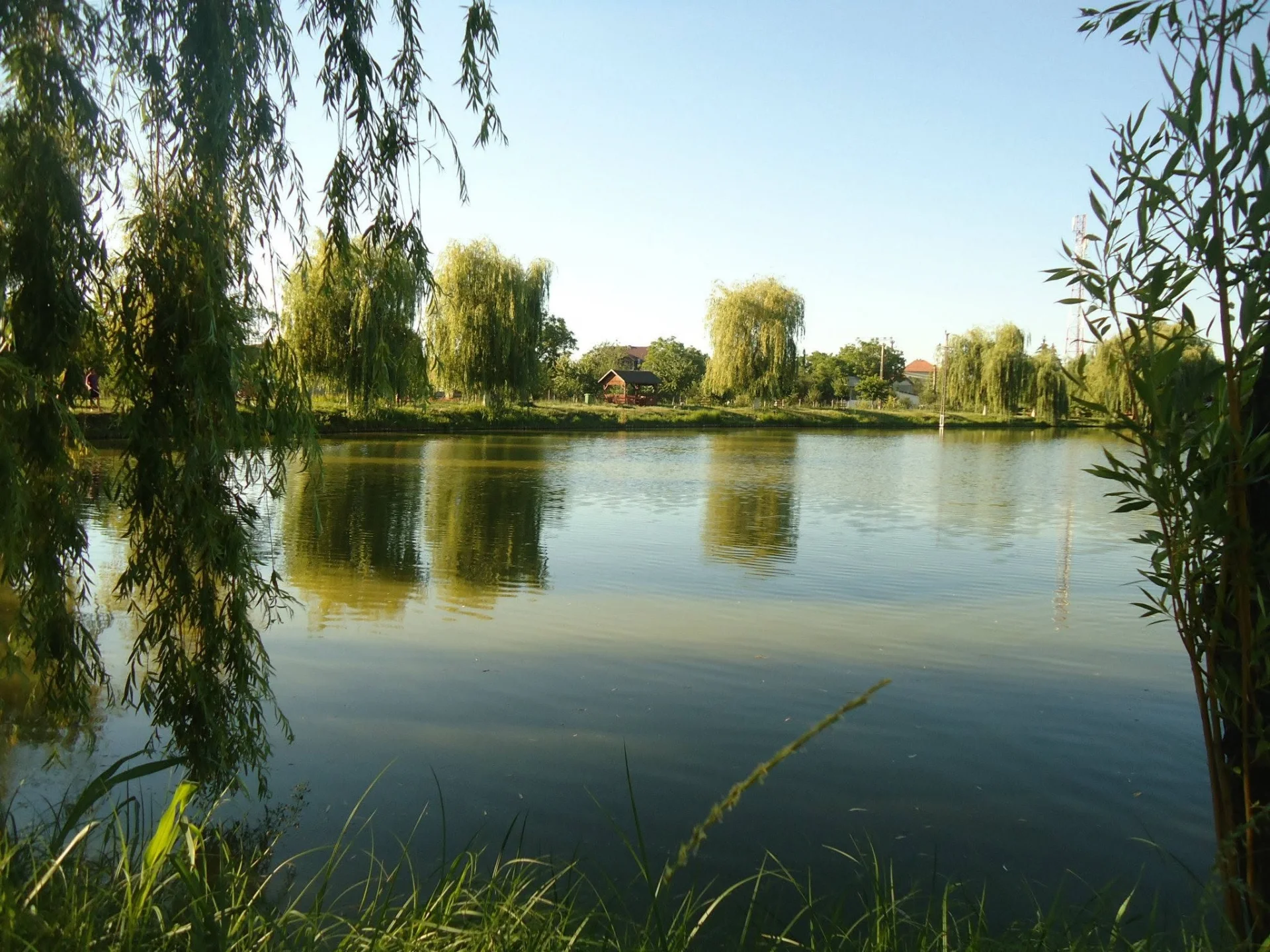 Pescăria Peștișorul de Aur - fotografie 2
