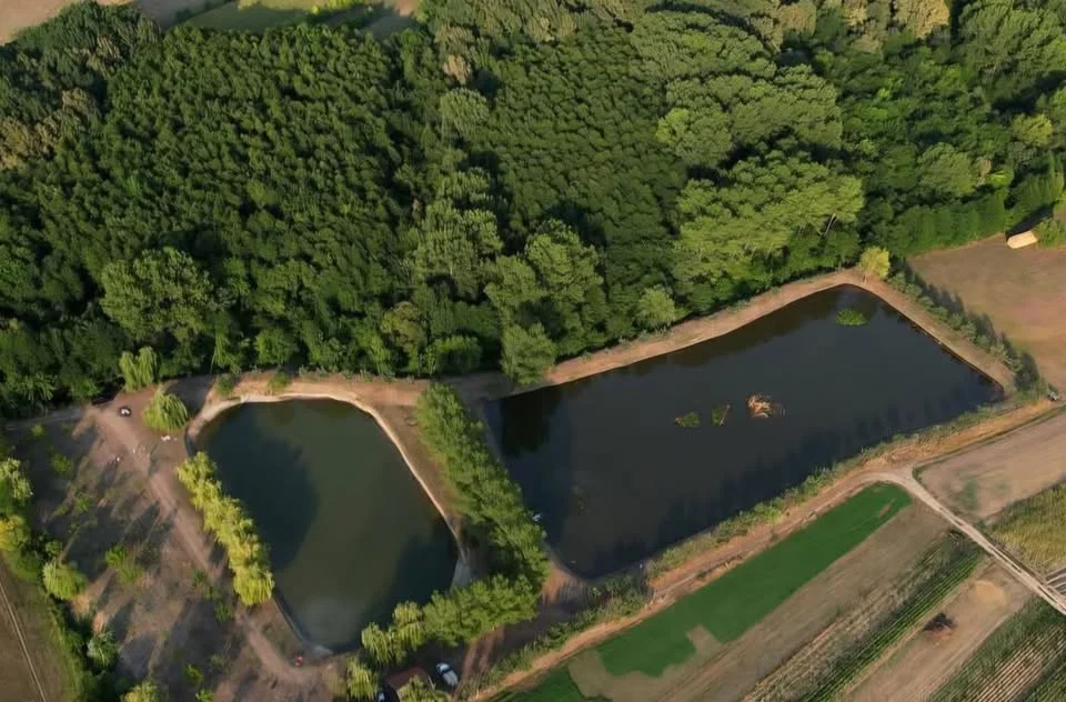 Transilvania Fish World